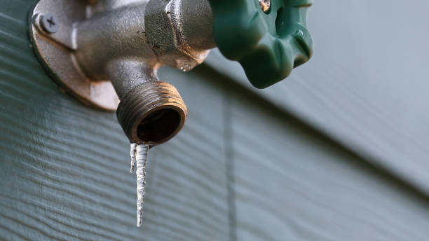 Best Residential Plumbing Services  in Albany, MO